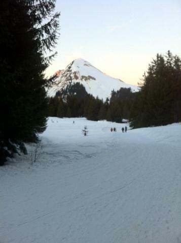 Appartamento Terrasses Du Mont Blanc Le Praz de Lys Esterno foto