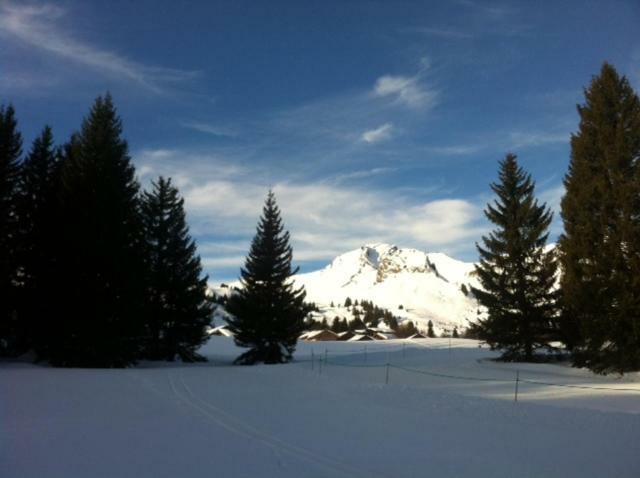 Appartamento Terrasses Du Mont Blanc Le Praz de Lys Esterno foto